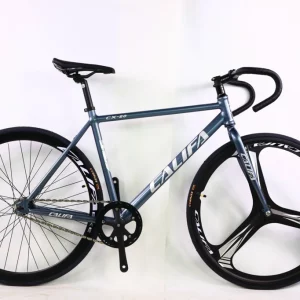 Xe đạp Fixed Gear CX20 màu xanh chữ trắng