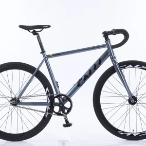 xe đạp Fixed Gear F3000 Calli màu xám