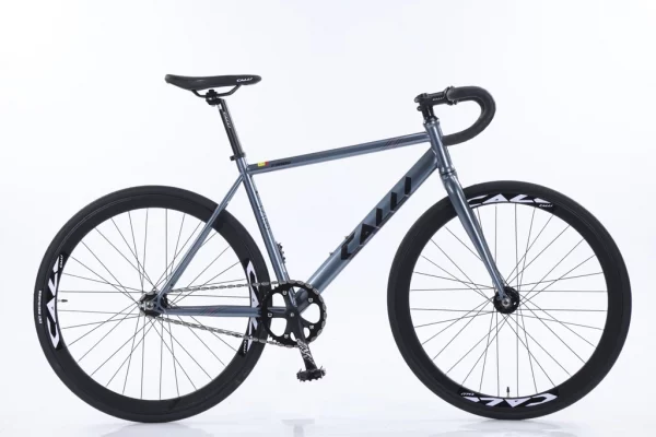 xe đạp Fixed Gear F3000 Calli màu xám