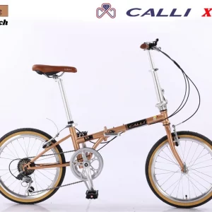 xe đạp gấp bánh 20 cali màu đồng